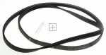Poly v belt J - C00081730 482000076741 Drive Belt [Whirlpool Indesit]