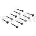 Screw - 4055422424 Kit Bolt Handle 10pcs [Electrolux Aeg]